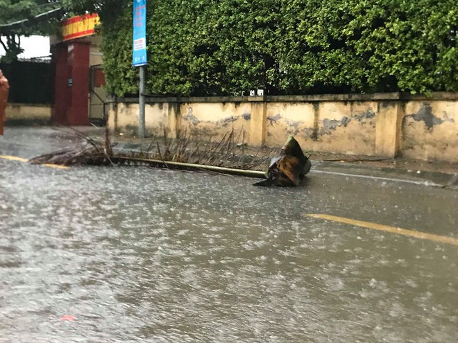 Ảnh hưởng của bão số 3, Hà Nội ngập nhiều tuyến phố, cây xanh gãy cành, bật gốc - Ảnh 10.