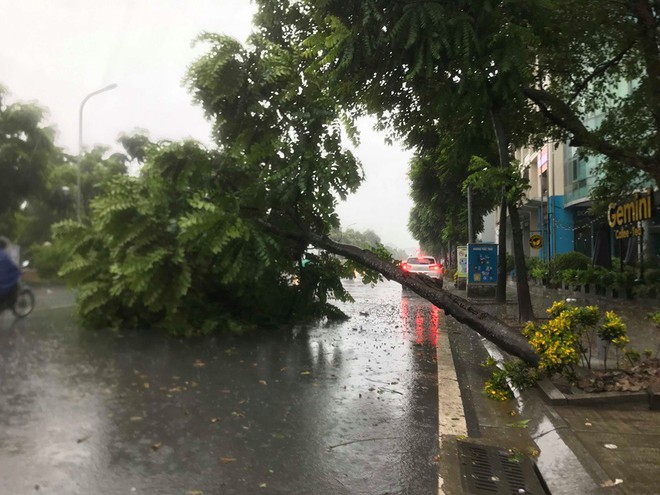 Ảnh hưởng của bão số 3, Hà Nội ngập nhiều tuyến phố, cây xanh gãy cành, bật gốc - Ảnh 2.