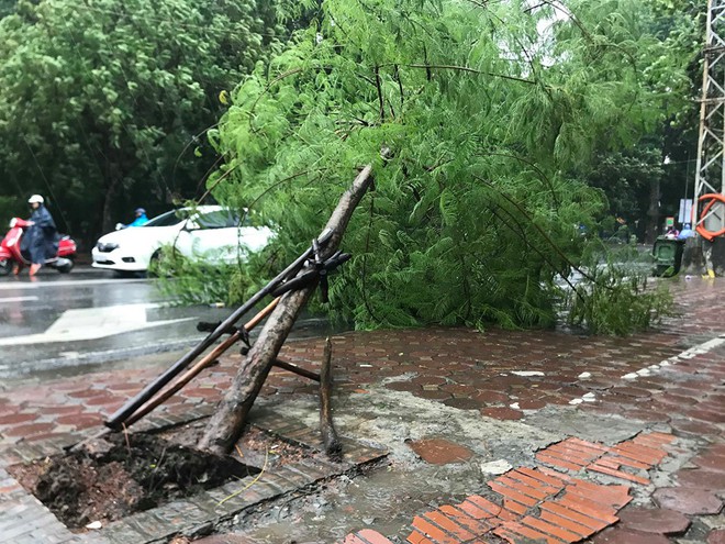 Ảnh hưởng của bão số 3, Hà Nội ngập nhiều tuyến phố, cây xanh gãy cành, bật gốc - Ảnh 12.