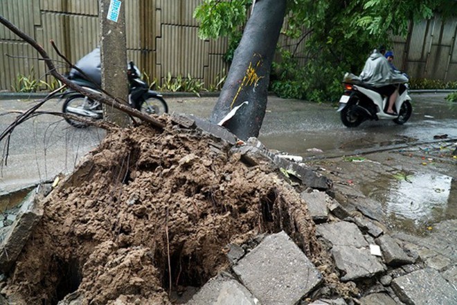 Cây đổ hàng loạt, đè trúng ô tô, hiện trường tan hoang ở Hà Nội và các tỉnh phía Bắc khi bão số 3 quét qua - Ảnh 1.