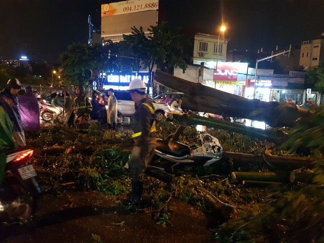 Cây si đè nam thanh niên tử vong: Xé lòng cảnh bà nạn nhân gào khóc đau đớn tại hiện trường - Ảnh 5.