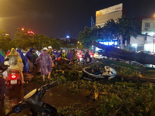 Cây si đè nam thanh niên tử vong: Xé lòng cảnh bà nạn nhân gào khóc đau đớn tại hiện trường - Ảnh 6.