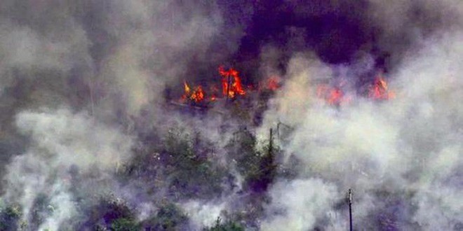 Trung Quốc kêu oan khi bị truyền thông phương Tây tố góp lửa vào thảm họa cháy rừng Amazon - Ảnh 1.