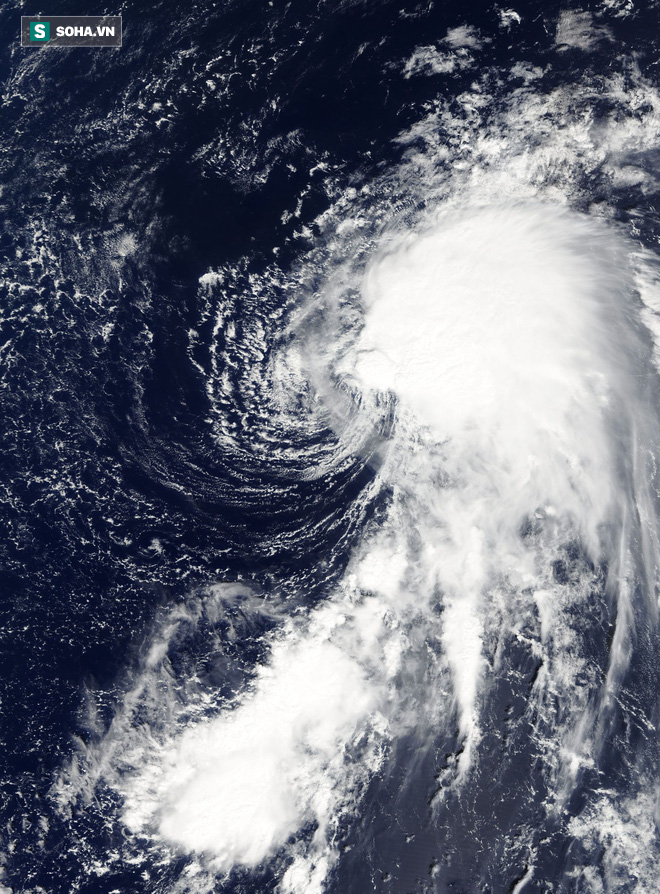 Biển Đông liên tiếp xuất hiện bão mạnh, dự báo sẽ có bão đổ bộ, khu vực nào ảnh hưởng nặng nhất? - Ảnh 3.