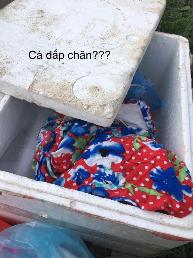 Nhờ bạn gái đi chợ, cô gái khẳng định trông thấy có người bán món “cá đắp chăn” và muốn mua về đãi người yêu - Ảnh 3.