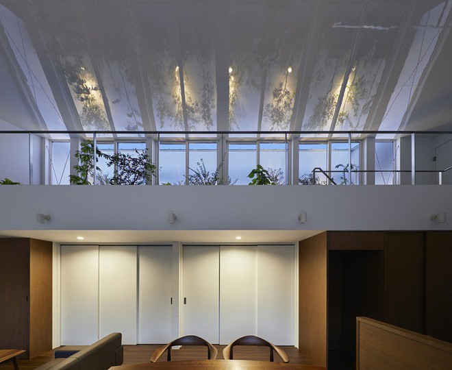 Ngôi nhà ở Nhật gây ấn tượng mạnh vì sở hữu 1 hành lang dài được xếp toàn cây cảnh - Ảnh 2.