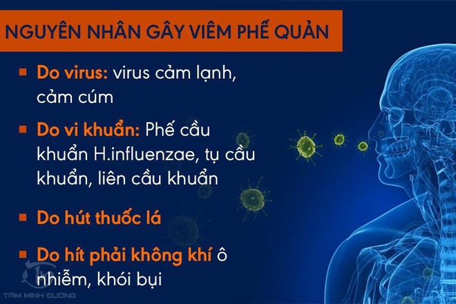 Chữa viêm phế quản bằng bài thuốc Cao Bổ Phế Tâm Minh Đường - Ảnh 3.