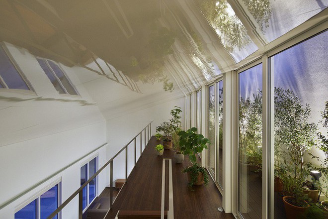 Ngôi nhà ở Nhật gây ấn tượng mạnh vì sở hữu 1 hành lang dài được xếp toàn cây cảnh - Ảnh 5.