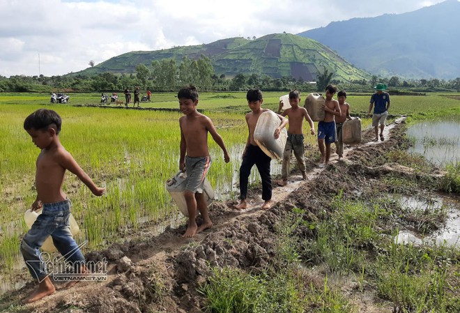 3 thanh niên ngăn suối, làm điều cảm động dưới chân núi lửa - Ảnh 2.