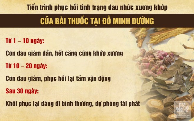 Đau nhức xương khớp là bệnh gì? Nguyên nhân và cách chữa bằng thuốc nam - Ảnh 3.