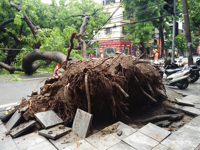 Sau cơn mưa suốt đêm, nhiều nơi ở Hà Nội chìm trong biển nước, cây lớn đổ đè một phần taxi - Ảnh 7.