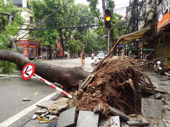 Sau cơn mưa suốt đêm, nhiều nơi ở Hà Nội chìm trong biển nước, cây lớn đổ đè một phần taxi - Ảnh 13.