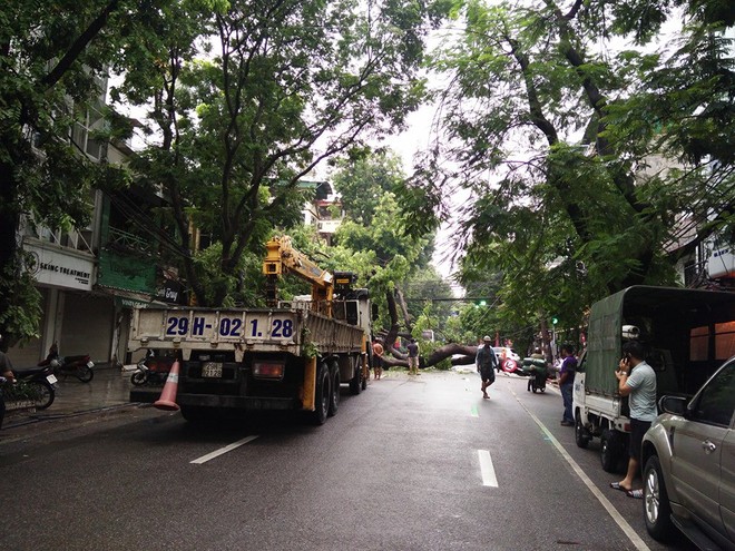 Sau cơn mưa suốt đêm, nhiều nơi ở Hà Nội chìm trong biển nước, cây lớn đổ đè một phần taxi - Ảnh 14.