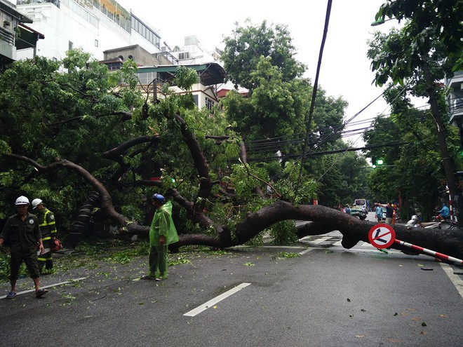 Sau cơn mưa suốt đêm, nhiều nơi ở Hà Nội chìm trong biển nước, cây lớn đổ đè một phần taxi - Ảnh 17.