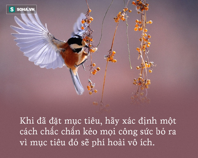 Thấy sư tử rên rỉ, các con vật đều đến xem, chỉ có cáo đứng ngoài: Cảnh tỉnh nhiều người - Ảnh 3.