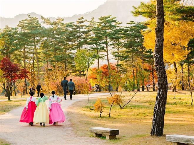 Những con đường ngập tràn cảnh sắc mùa thu ở Seoul - Ảnh 1. Những con đường ngập tràn cảnh sắc mùa thu ở Seoul - Ảnh 1.