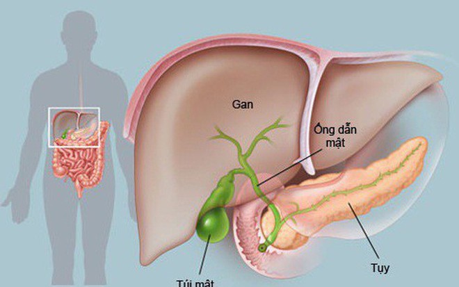 Tại sao ung thư tuyến tụy rất nguy hiểm? - Ảnh 2.