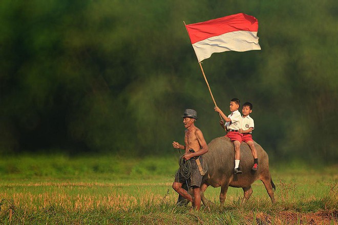 Vẻ đẹp mộc mạc của cuộc sống thường ngày ở làng quê Indonesia - Ảnh 12.