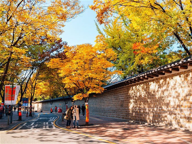 Những con đường ngập tràn cảnh sắc mùa thu ở Seoul - Ảnh 3. Những con đường ngập tràn cảnh sắc mùa thu ở Seoul - Ảnh 3.
