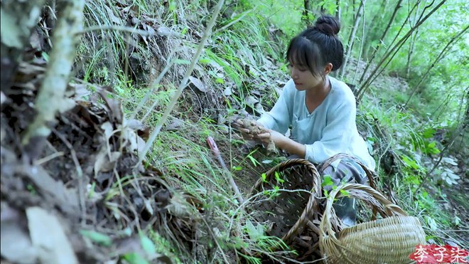 Sự thật về thân thế Lý Tử Thất: Con nhà giàu, tài sản trăm tỷ, cơ ngơi nhiều người ao ước? - Ảnh 7.