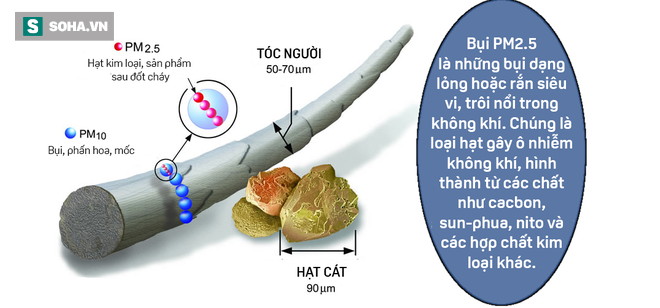 Hà Nội vào top 10 thành phố ô nhiễm không khí tệ nhất TG: Bụi PM2.5 xâm nhập vào máu ra sao? - Ảnh 4.