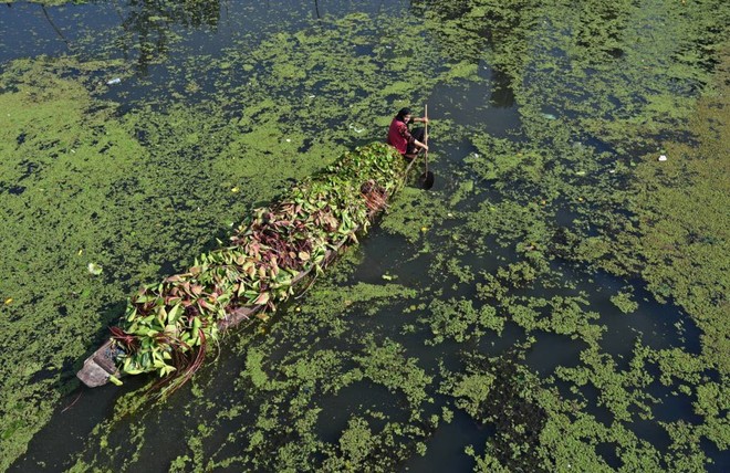 24h qua ảnh: Ngư dân chèo thuyền trên sông Trà Khúc ở Việt Nam - Ảnh 7.