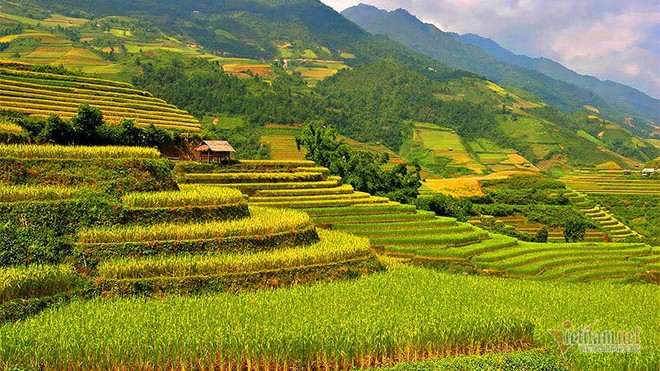 Cảnh sắc đẹp nhất thế giới mỗi năm 1 lần chỉ có ở Việt Nam - Ảnh 4.