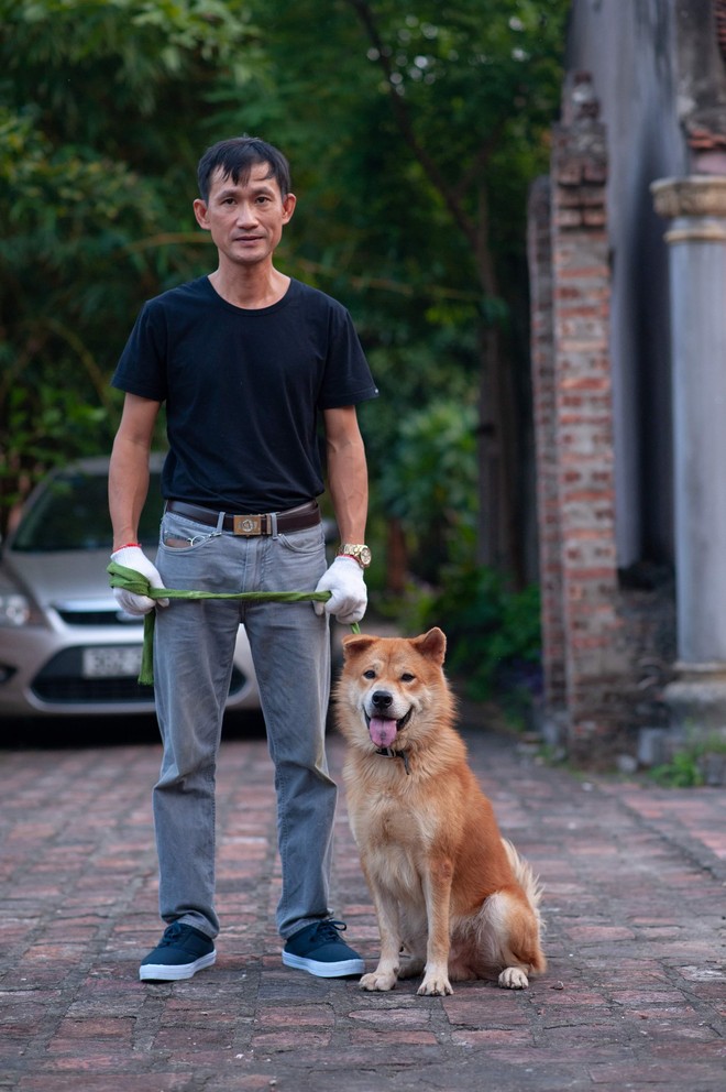 Phim Cậu Vàng chính thức chọn ra 3 chú chó làm diễn viên chính, chó Nhật sẽ đảm nhận những cảnh tâm trạng - Ảnh 1.