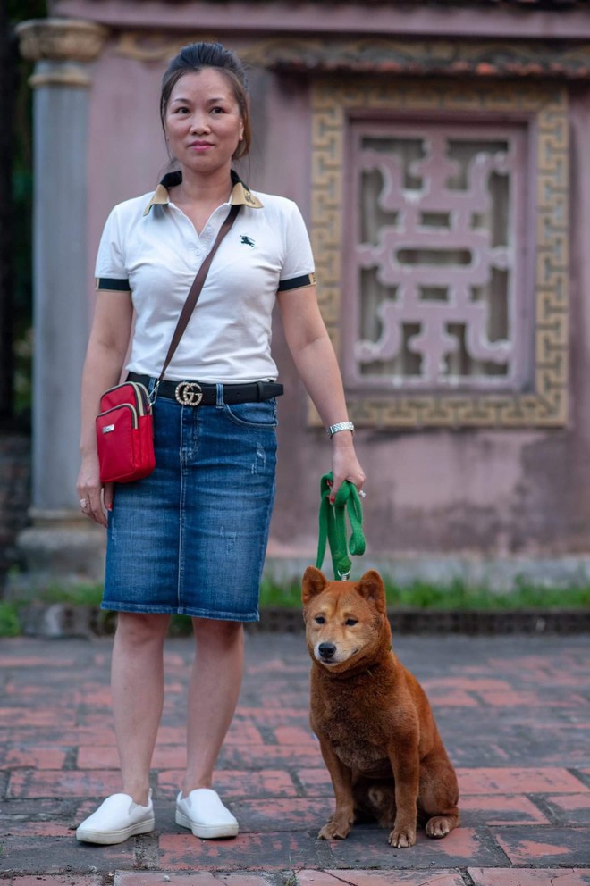 Phim Cậu Vàng chính thức chọn ra 3 chú chó làm diễn viên chính, chó Nhật sẽ đảm nhận những cảnh tâm trạng - Ảnh 2.