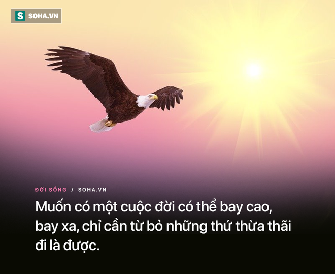 Dụ trâu vào chuồng chỉ bằng 1 nắm cỏ, người nông dân khiến vị triết gia nhận ra chân lý ai cũng nên biết - Ảnh 2.