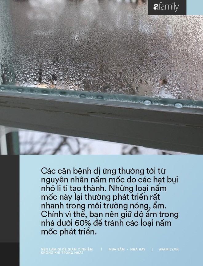 11 cách bạn có thể làm để giảm ô nhiễm không khí trong nhà trong những ngày Hà Nội, Sài Gòn đều ô nhiễm nặng nề - Ảnh 6.