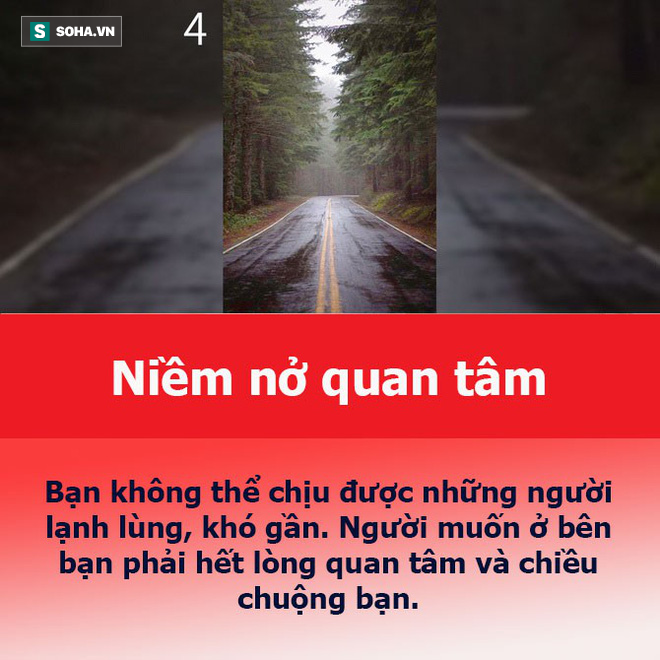 Bạn muốn tìm được người bạn đời thế nào, hãy chọn con đường mình thích rồi xem luận giải - Ảnh 5.