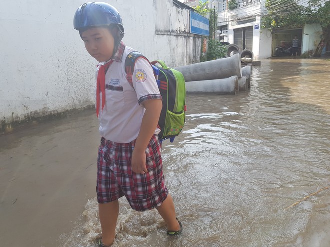 Học sinh Cần Thơ được nghỉ học do triều cường vượt ngưỡng lịch sử - Ảnh 2.