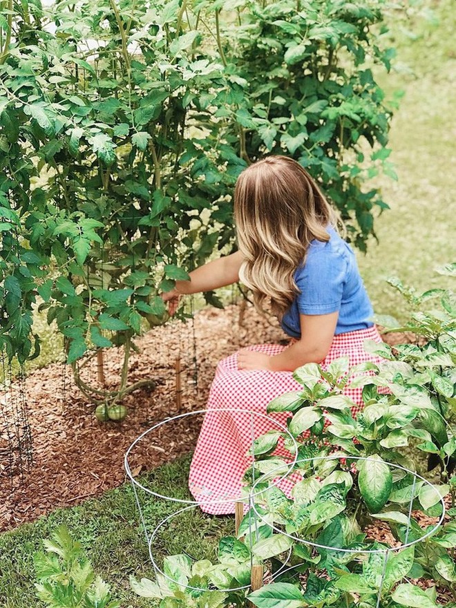 Gặp cô giáo xinh đẹp yêu làm vườn, thích nấu ăn và giấc mơ được trồng rau quả sạch suốt cuộc đời - Ảnh 13.
