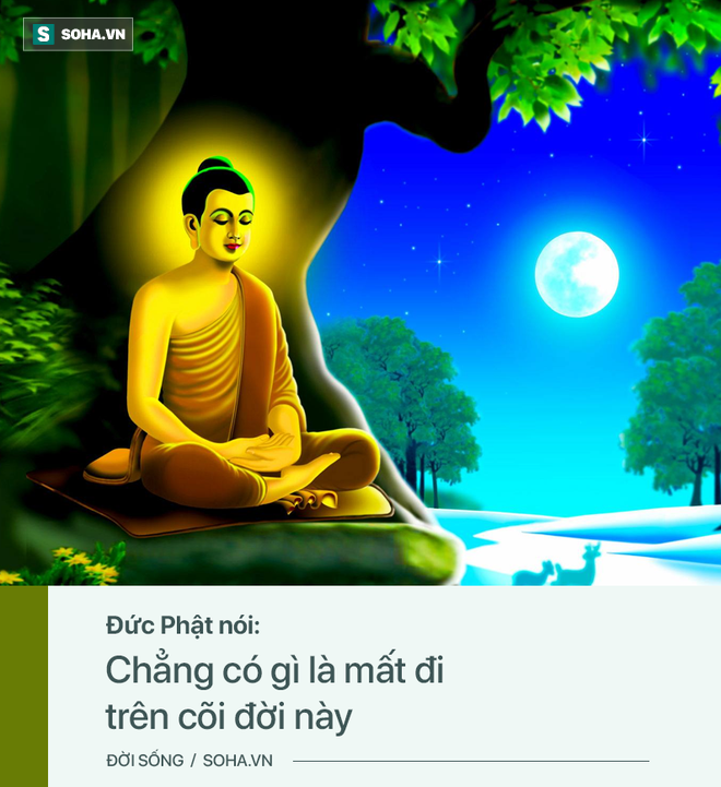 Đức Phật nói có 3 quy luật trên đời ai cũng cần thấu tỏ, lĩnh hội được tất sẽ sống an yên - Ảnh 1.