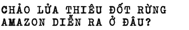 Đừng giết Amazon: Từ lá thư của thủ lĩnh da đỏ đến nguy cơ Amazon tự tử đều rất xúc động - Ảnh 3.