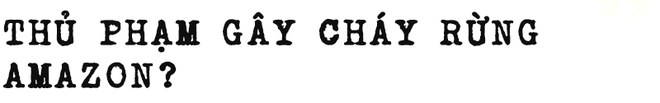 Đừng giết Amazon: Từ lá thư của thủ lĩnh da đỏ đến nguy cơ Amazon tự tử đều rất xúc động - Ảnh 8.