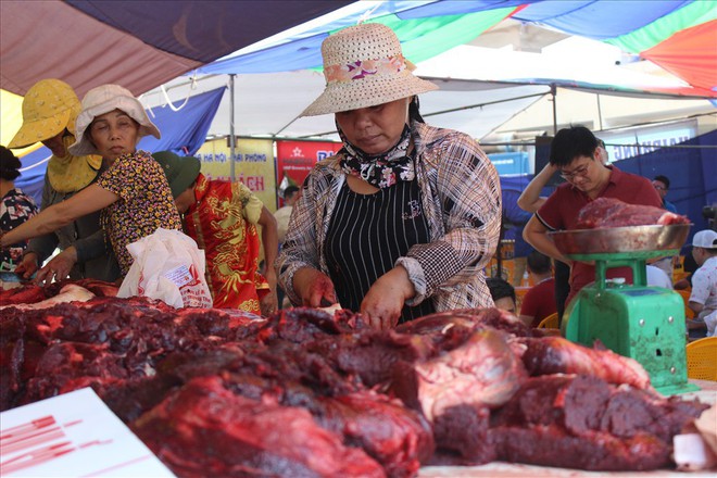 Chọi trâu Đồ Sơn 2019: 2 triệu đồng cho 1kg thịt trâu chọi... thua cuộc - Ảnh 3.