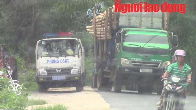 Vụ tài xế xe quá tải tự nguyện trình diện: CSGT tỉnh Thừa Thiên - Huế lên tiếng - Ảnh 4.