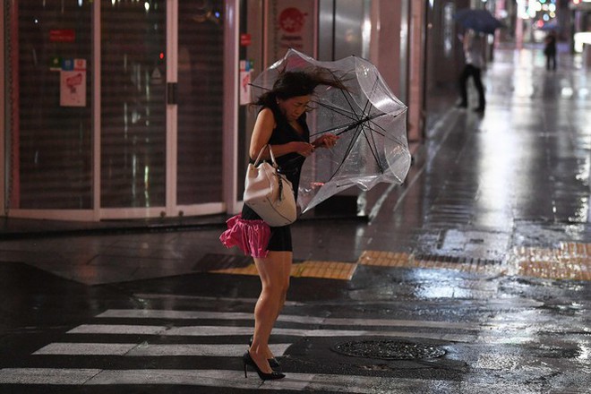 Bão Faxai mang gió mạnh kỉ lục đổ bộ Nhật Bản, Tokyo tan hoang - Ảnh 9.