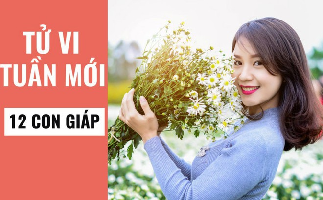 Xem Tử Vi Tuần Mới 9 9 15 9 Dự đoan Vận Mệnh Cuộc Sống Của 12 Con Giap Va Những Lời Khuyen Hữu Ich