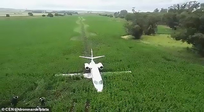 Vệt bùn dài thẳng tắp trên cánh đồng bắp vinh danh phi công tài ba - Ảnh 2.