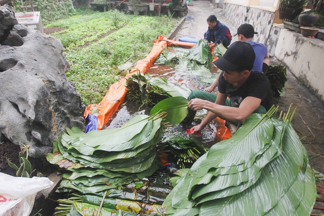 Nghề rửa lá dong hái ra tiền ở công xưởng bánh chưng lớn nhất miền Bắc - Ảnh 1.