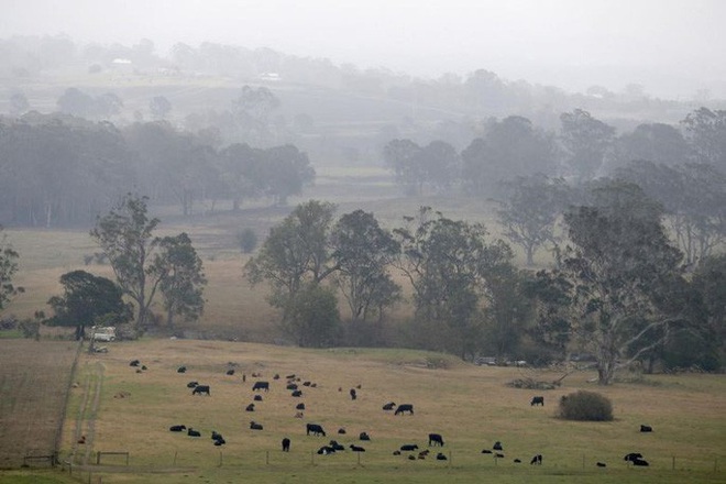 Cháy rừng Úc: Khói lan ra toàn cầu, gây hiện tượng thời tiết lạ  - Ảnh 3.