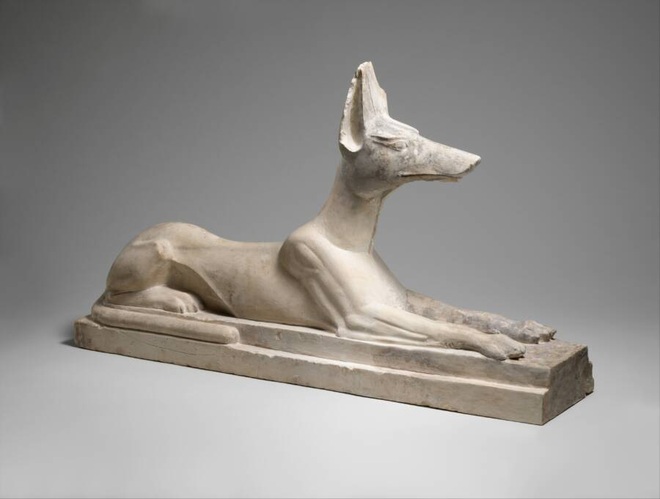 Anubis - Vị thần chết Ai Cập được tôn vinh bởi 8 triệu con chó ướp xác - Ảnh 1.