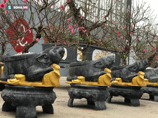 Chuột đen cưỡi vàng cõng hoa đào giá 2 triệu đồng hút khách dịp Tết 2020 - Ảnh 2.