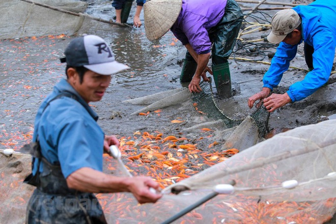 Làng nghề cá chép đỏ Thủy Trầm tất bật trước ngày ông Công ông Táo - Ảnh 6.