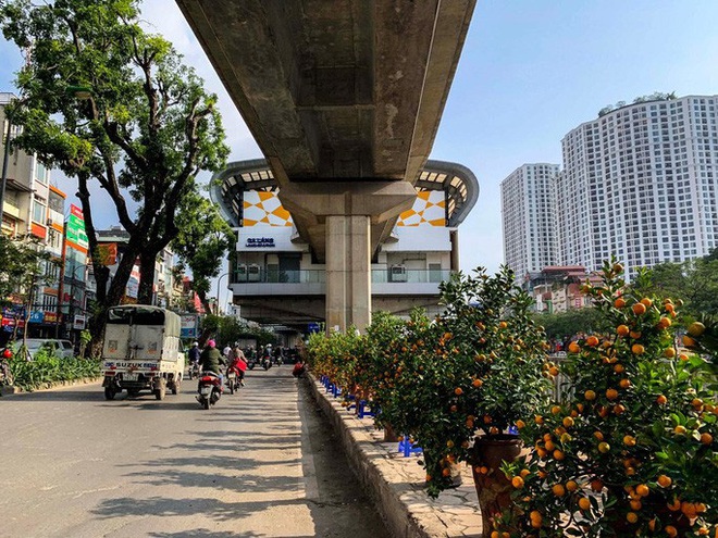 Cận cảnh nhà ga đường sắt Cát Linh - Hà Đông thành chợ cây cảnh - Ảnh 7.