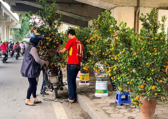 Cận cảnh nhà ga đường sắt Cát Linh - Hà Đông thành chợ cây cảnh - Ảnh 9.