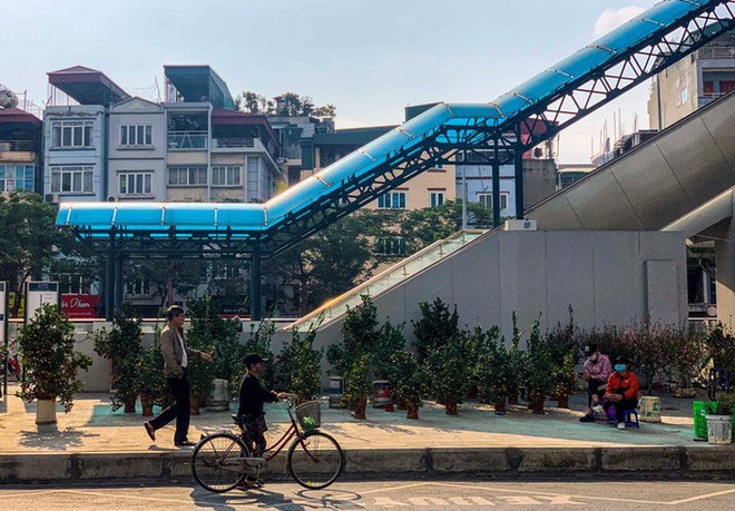 Cận cảnh nhà ga đường sắt Cát Linh - Hà Đông thành chợ cây cảnh - Ảnh 11.